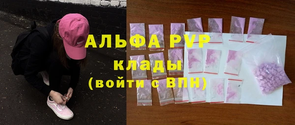 стаф Абинск