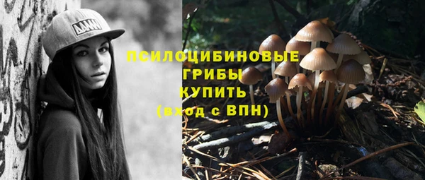 стаф Абинск