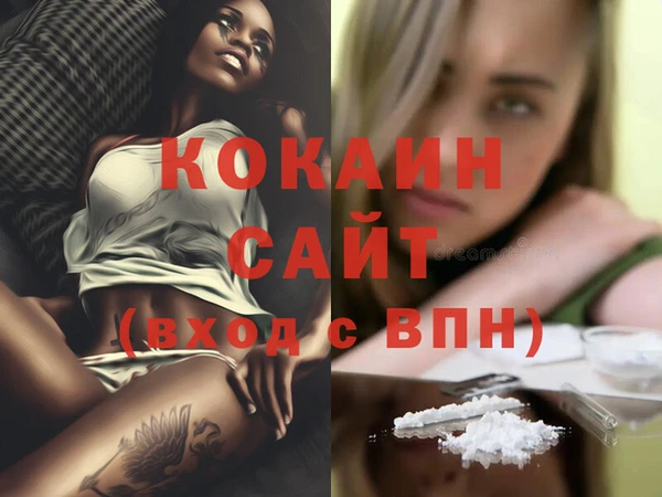 стаф Абинск