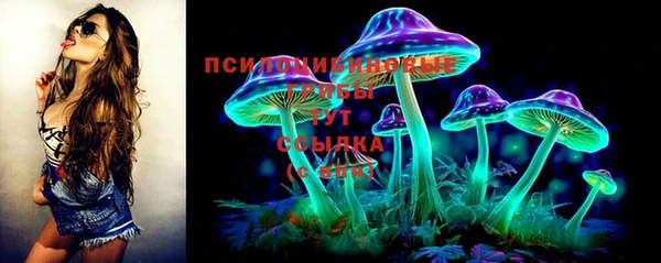 стаф Абинск