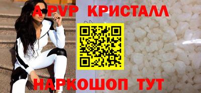 спиды Гатчина