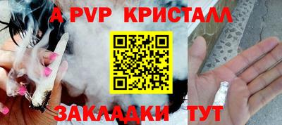 кокс Гай