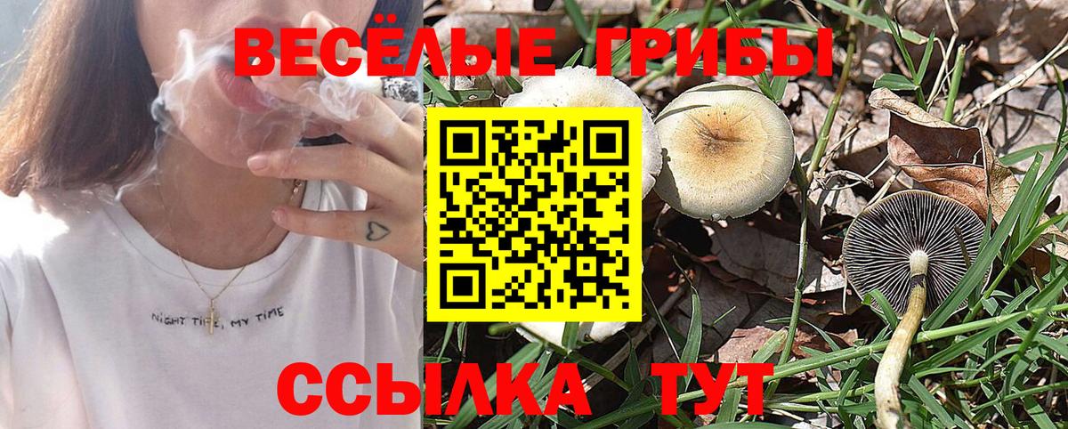 Галлюциногенные грибы прущие грибы Златоуст