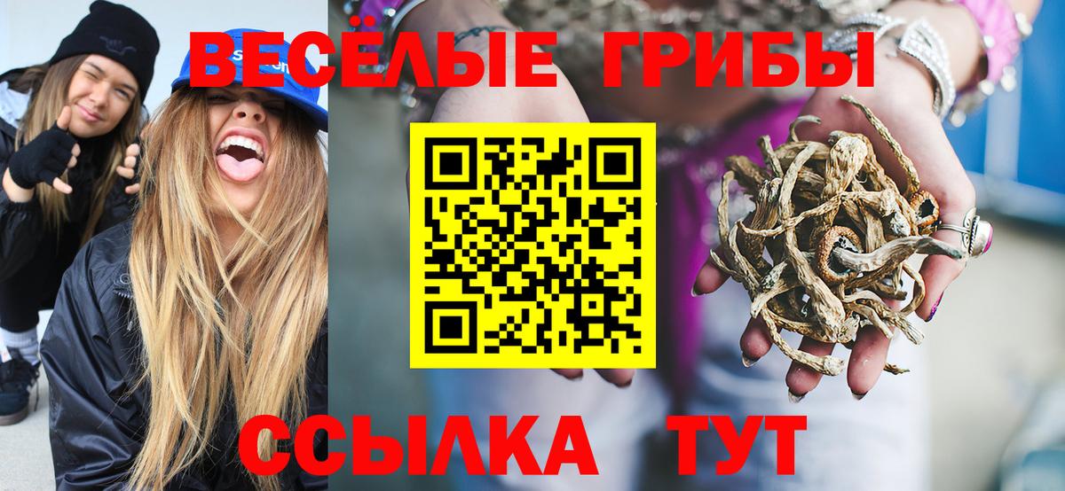 Галлюциногенные грибы Magic Shrooms  Вход с VPN  Златоуст  Псилоцибиновые грибы прущие грибы 