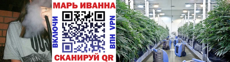 где купить наркотик  MEGA маркетплейс  Бошки марихуана THC 21%  Златоуст 